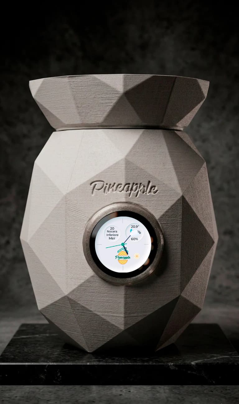 Pineapple Home — Bianco Brina
